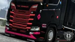 Scania 580S "EMT Transport" Combo Skin (Scania S) - Image 8